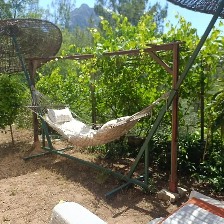 Cirali Sunny House *