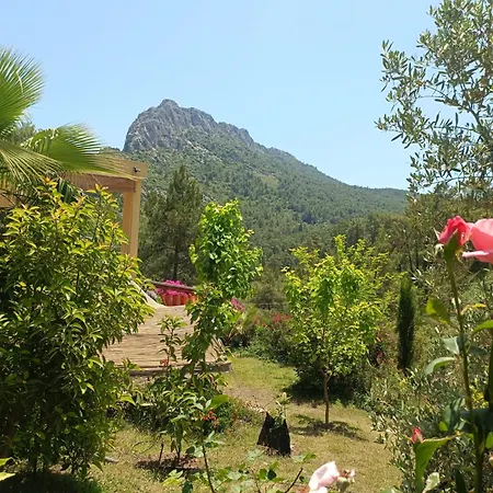 Cirali Sunny House *