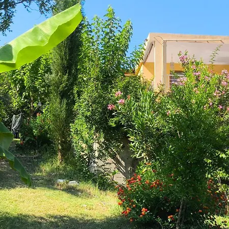 Апартаменты Cirali Sunny House Кемер