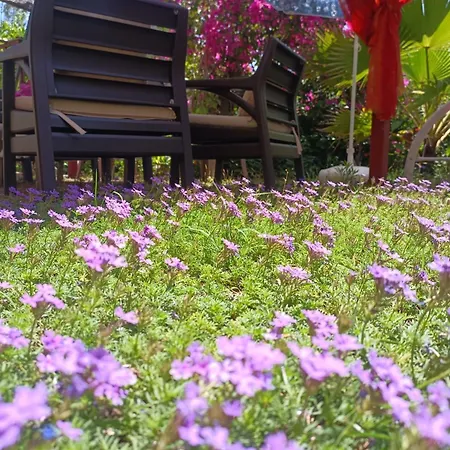 Cirali Sunny House شقة *