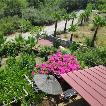 Cirali Sunny House Appartement
