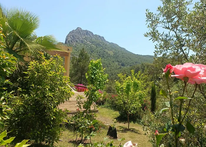 Cirali Sunny House *