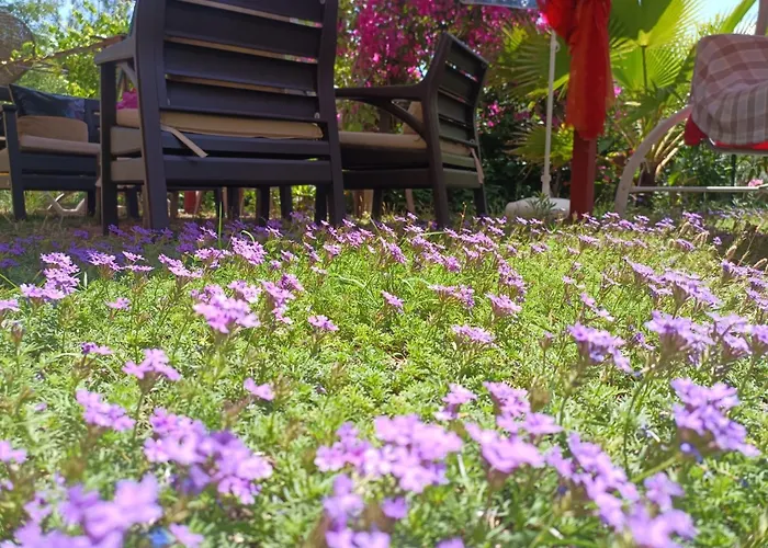 Cirali Sunny House شقة *