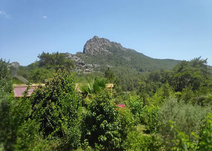 Cirali Sunny House شقة