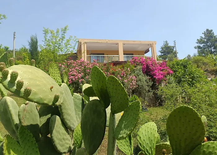 Cirali Sunny House شقة *