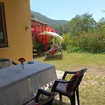 Cirali Sunny House