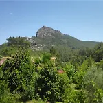 Cirali Sunny House Apartmán