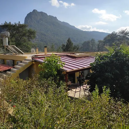 Lejlighed Cirali Sunny House *