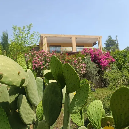 Cirali Sunny House Lejlighed *
