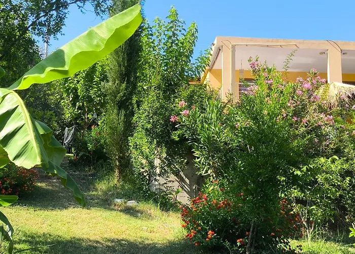 Lejlighed Cirali Sunny House Kemer